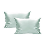 Pack of 2 light green pillowcases